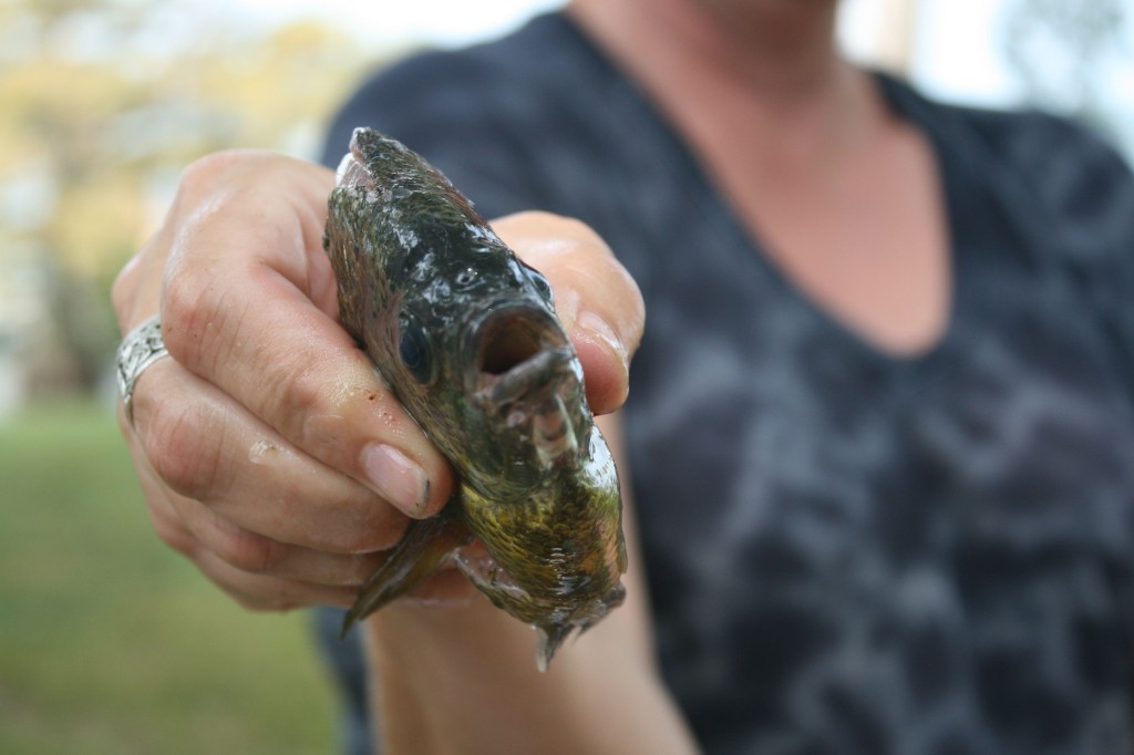 Those fish were so beautiful. Taylor Rhodes White captured some really wonderful images.