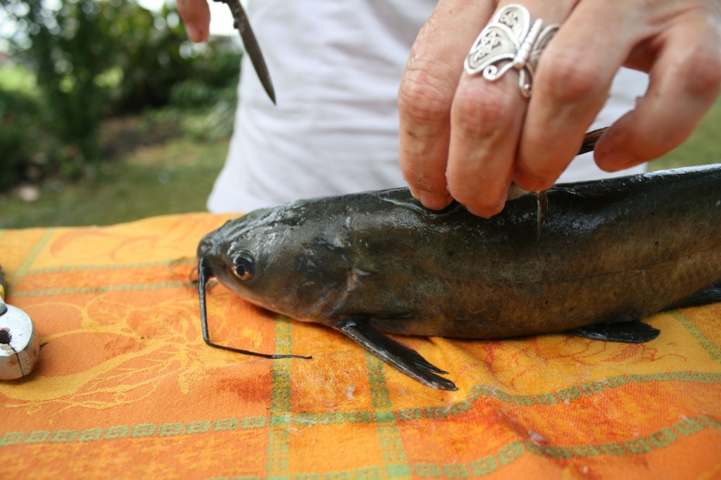 Catfish...Daddy's way